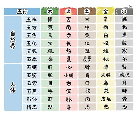 五行体神奉|五行説の概要と人体との関係 